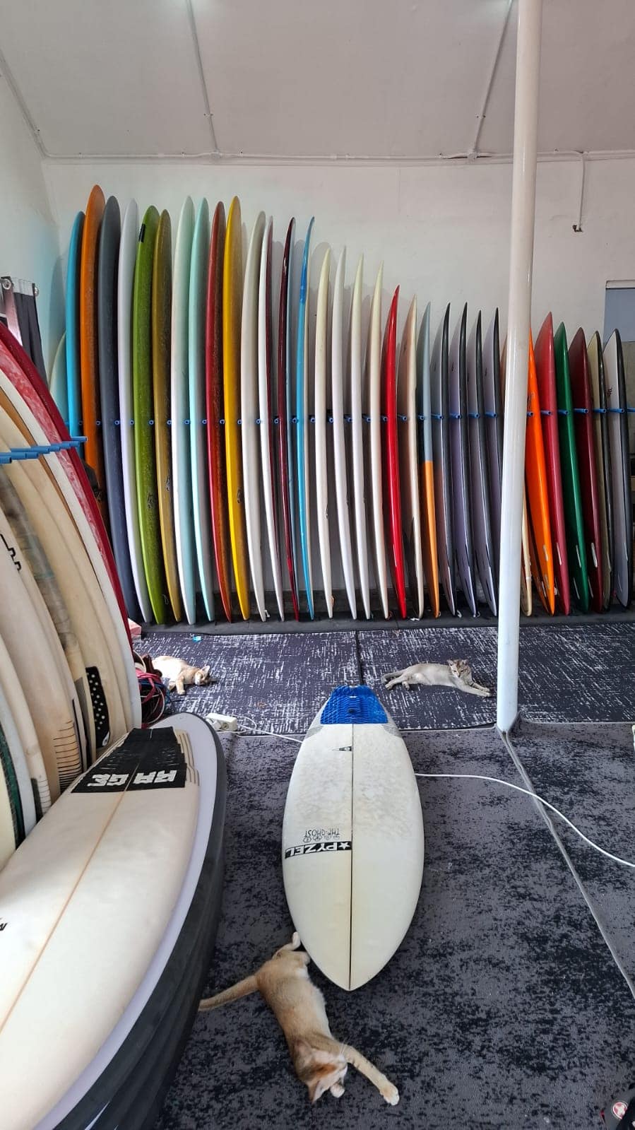 Surfboard Rental — photo 3