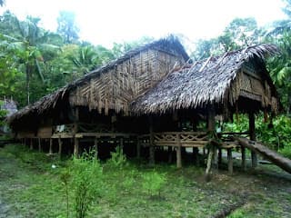 Mentawai Jungle Tribe Siberut — photo 2