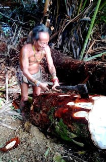 Mentawai Jungle Tribe Siberut — photo 4