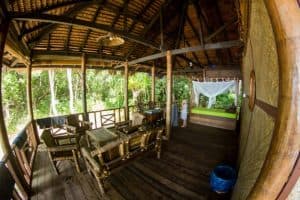 Rimba Bungalow — photo 2