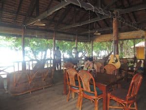 Rimba Bungalow — photo 4