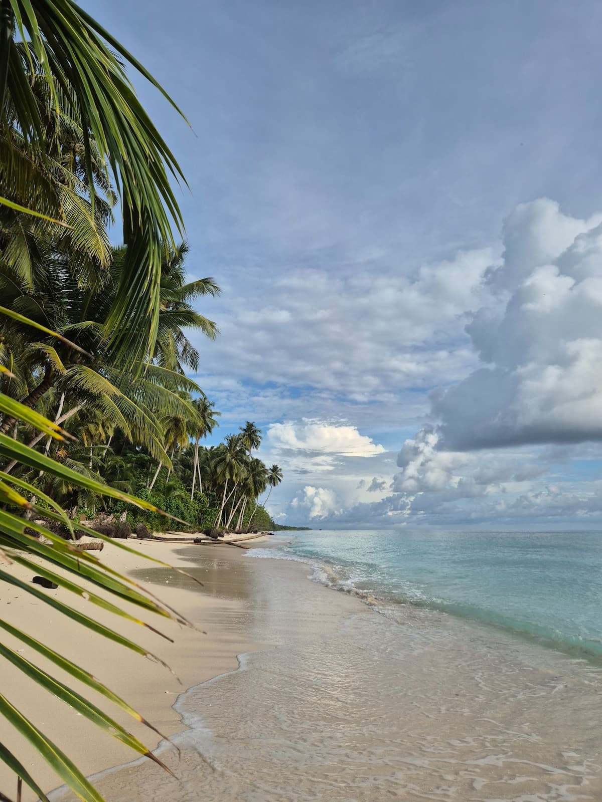 Tideline Villas Mentawai — photo 34