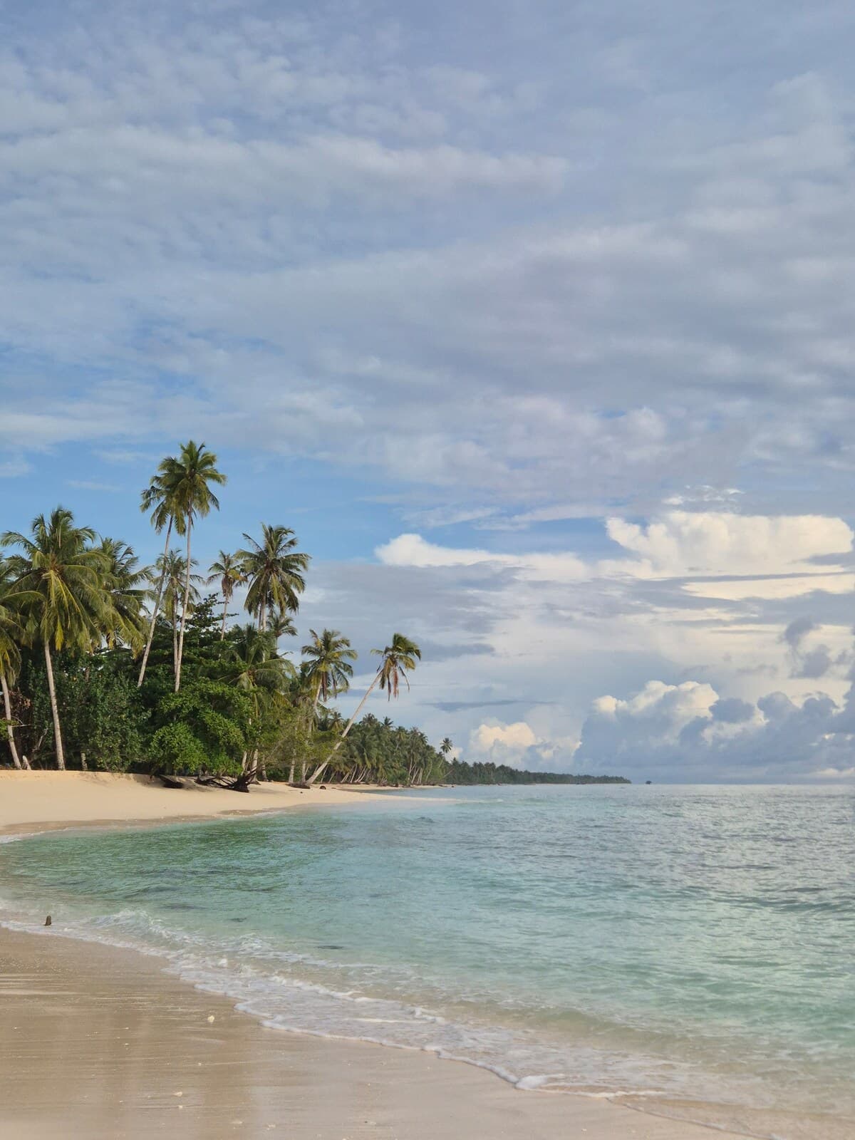 Tideline Villas Mentawai — photo 35
