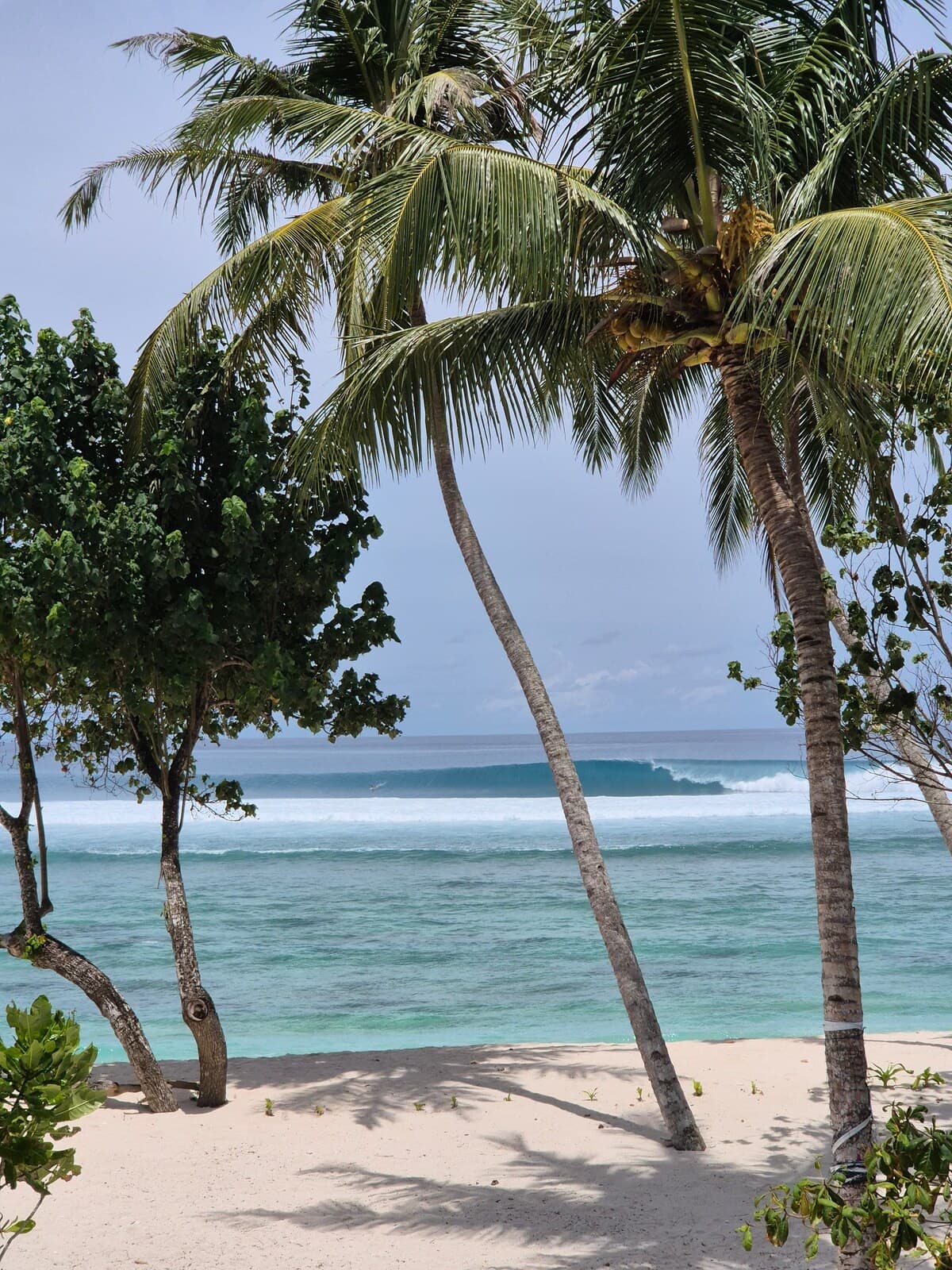 Tideline Villas Mentawai — photo 37