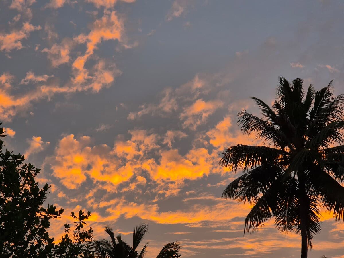 Tideline Villas Mentawai — photo 39