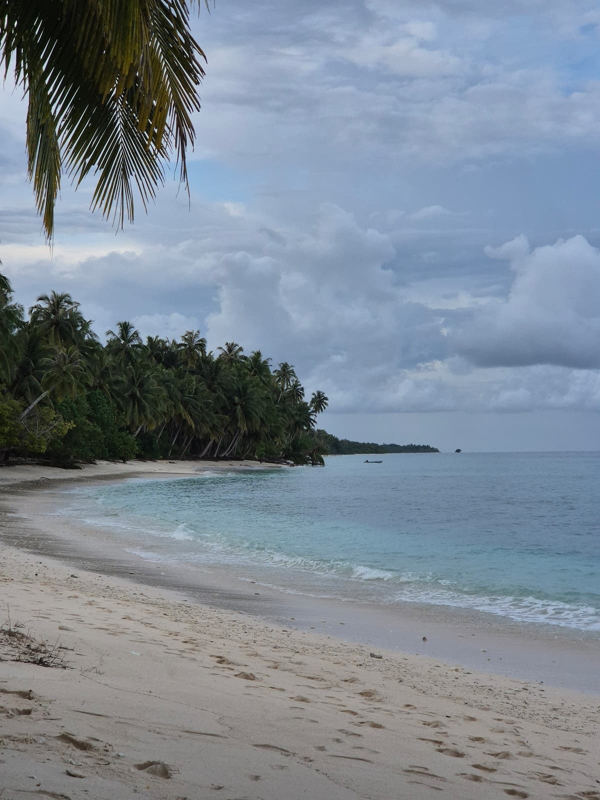 Tideline Villas Mentawai — photo 43