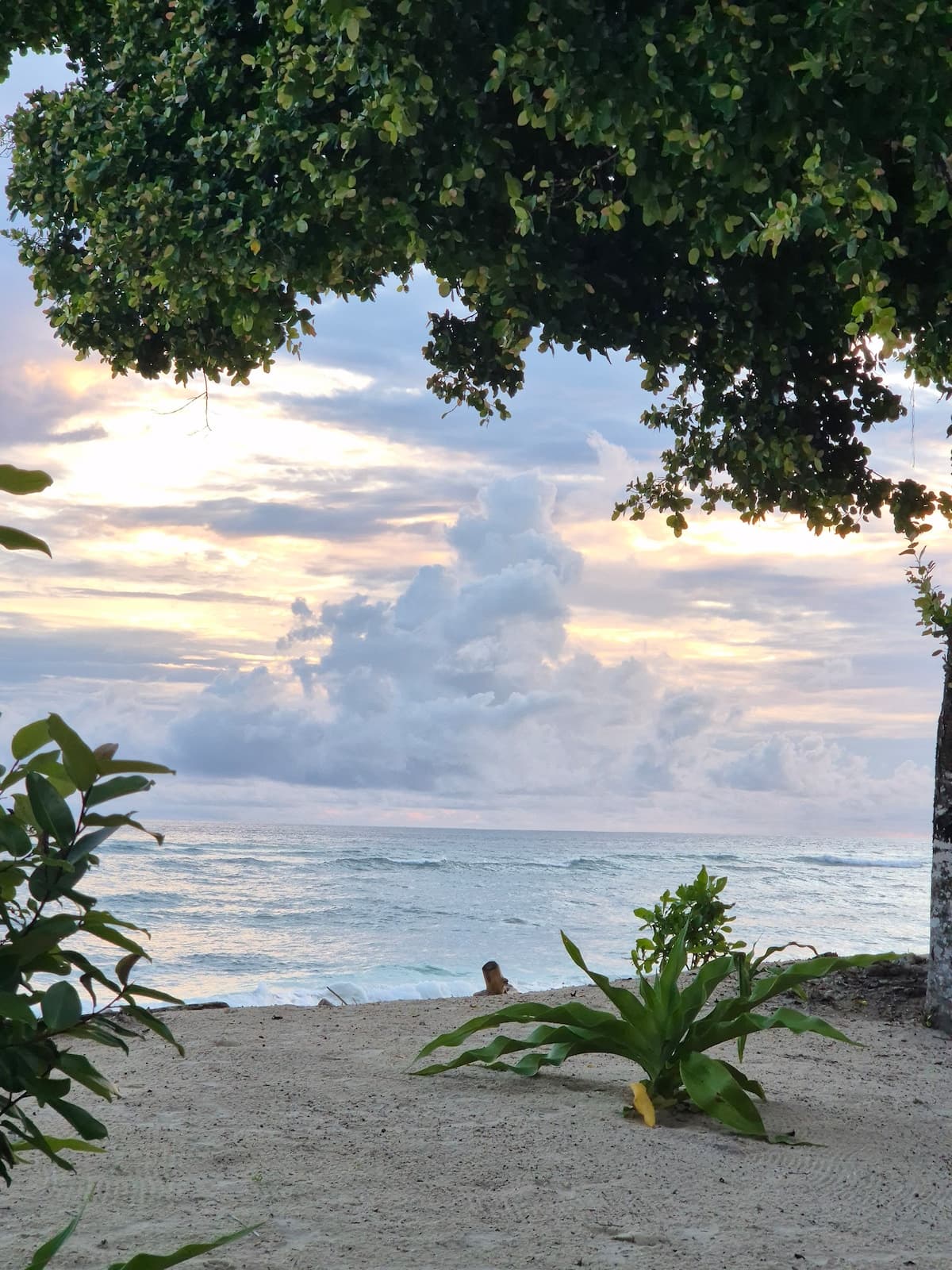 Tideline Villas Mentawai — photo 44