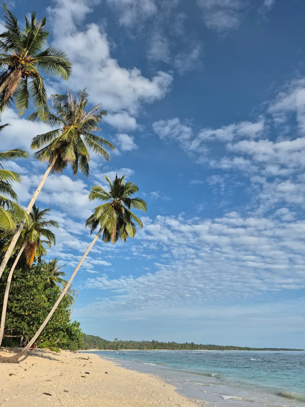 Tideline Villas Mentawai — photo 45