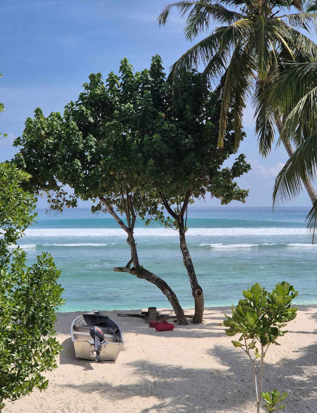 Tideline Villas Mentawai — photo 46
