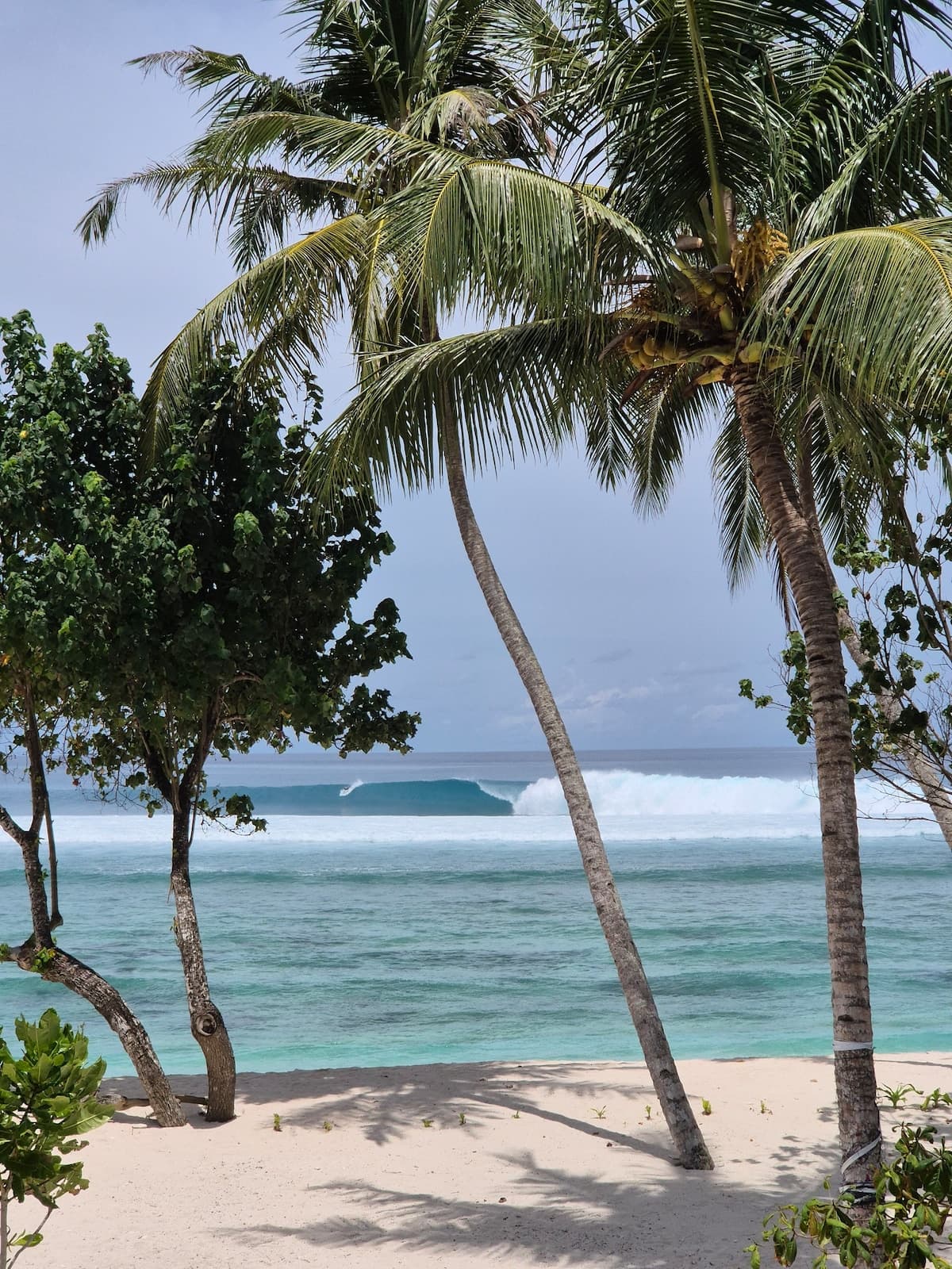 Tideline Villas Mentawai — photo 47