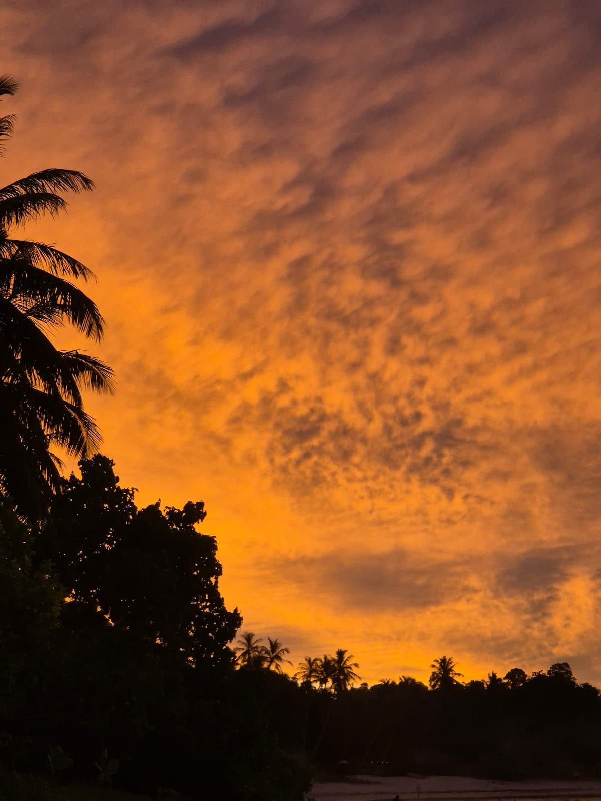 Tideline Villas Mentawai — photo 48