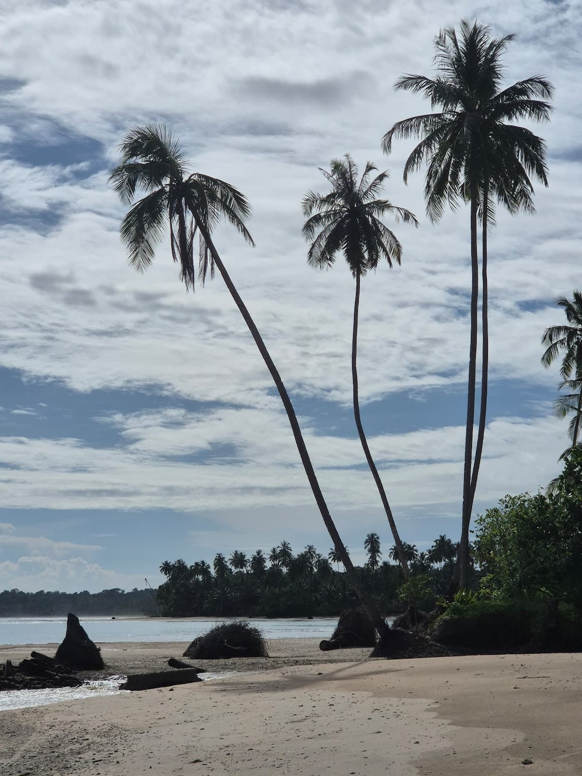 Tideline Villas Mentawai — photo 51