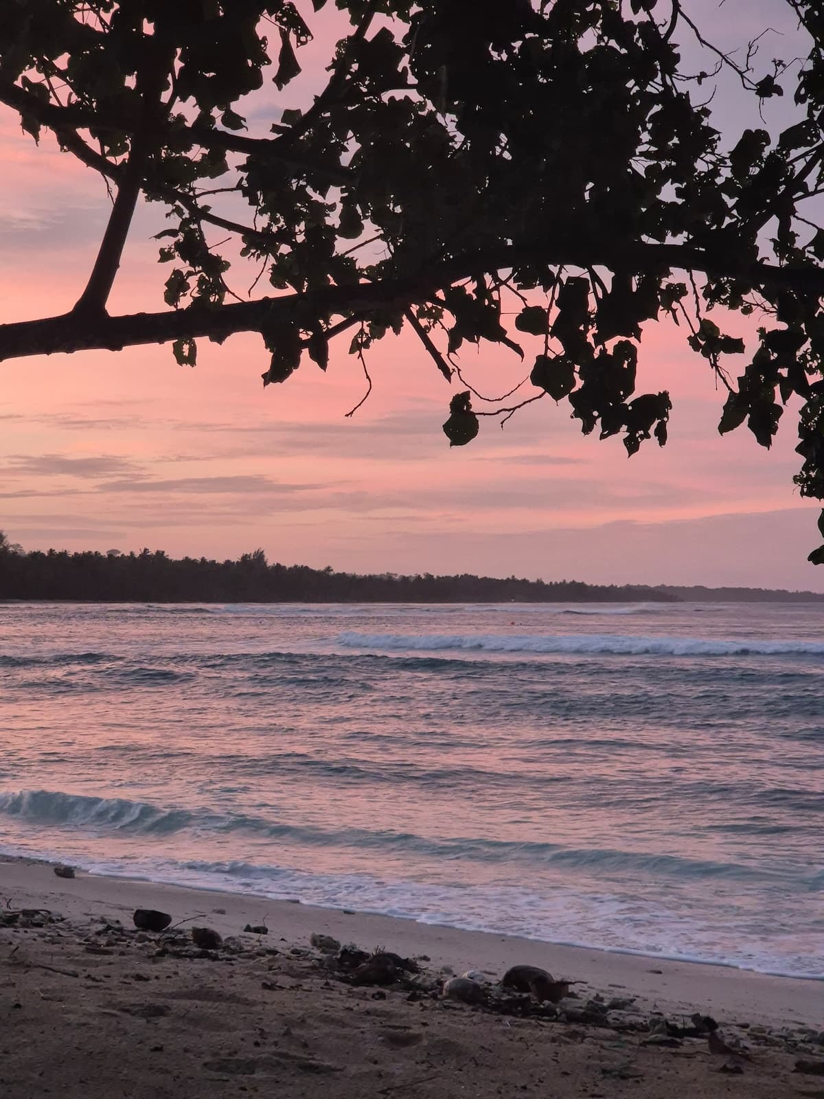 Tideline Villas Mentawai — photo 52