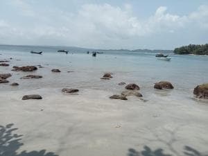 Kuntnalek Surf Camp — photo 7