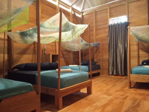 Surf Camp Nipussi — photo 2