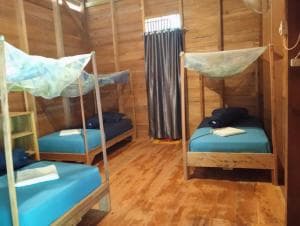 Surf Camp Nipussi — photo 6