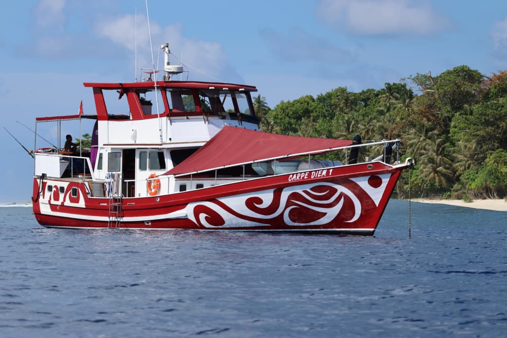 Carpe Diem 1 Boat Surf Charter