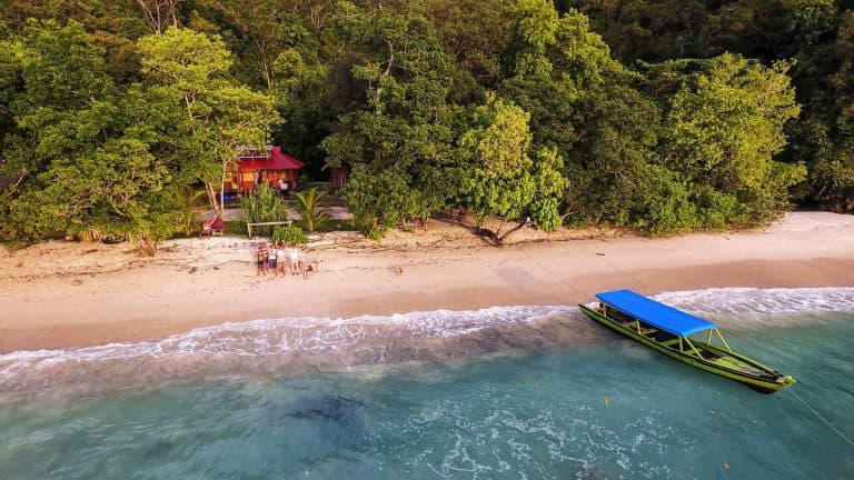Rimba Bungalow